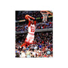 Michael Jordan Chicago Bulls Photo encadrée gravée – Action Dunk